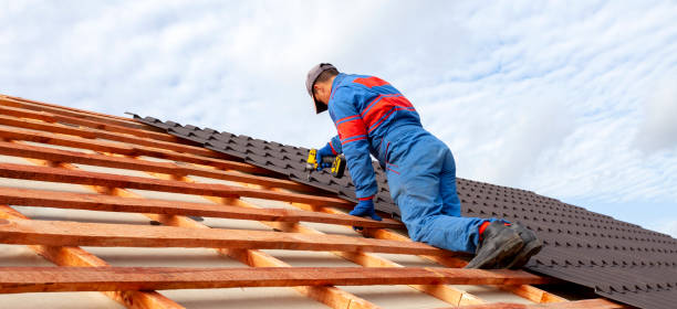 Best Roof Maintenance and Cleaning  in Wimauma, FL